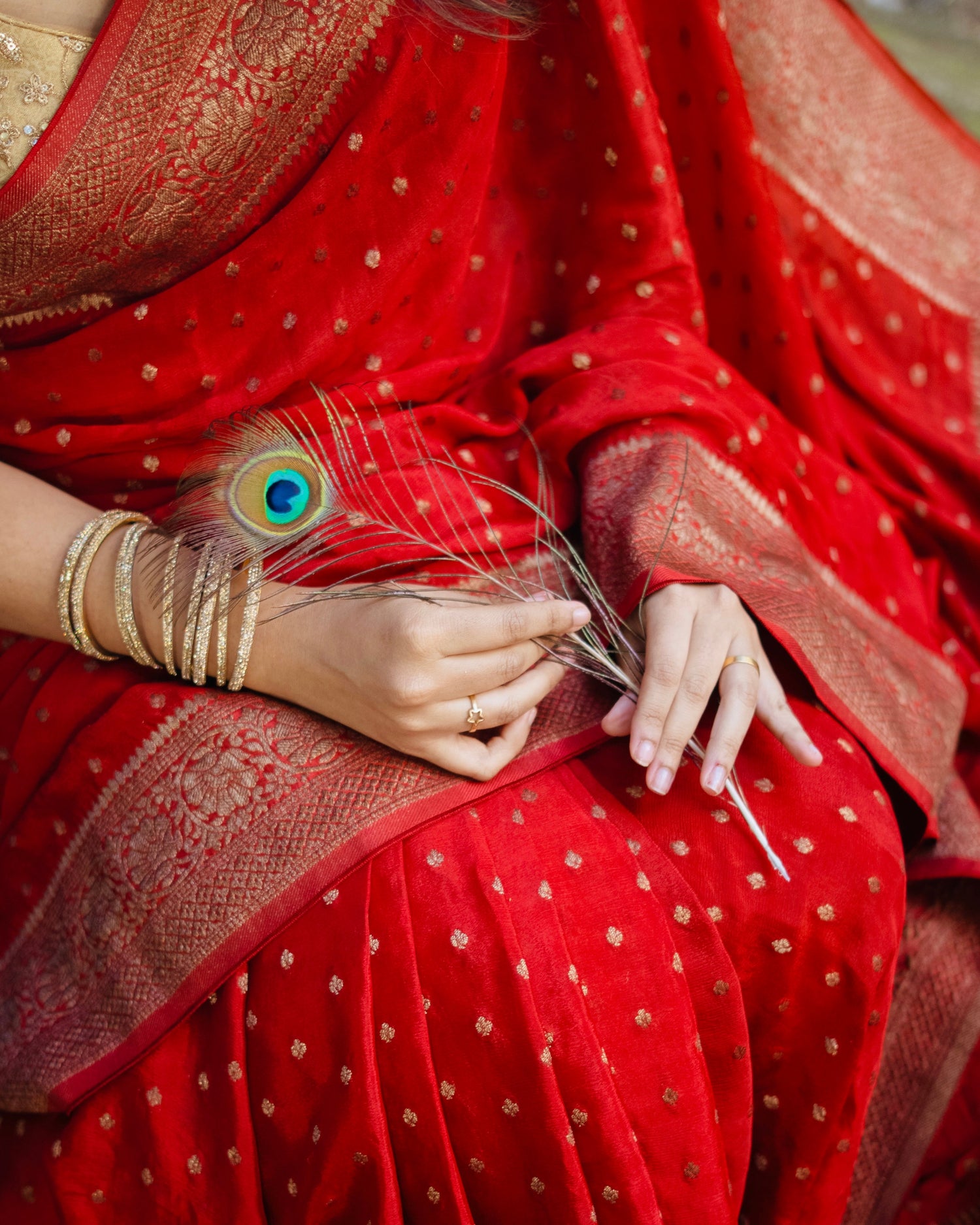 Banarasi Sarees